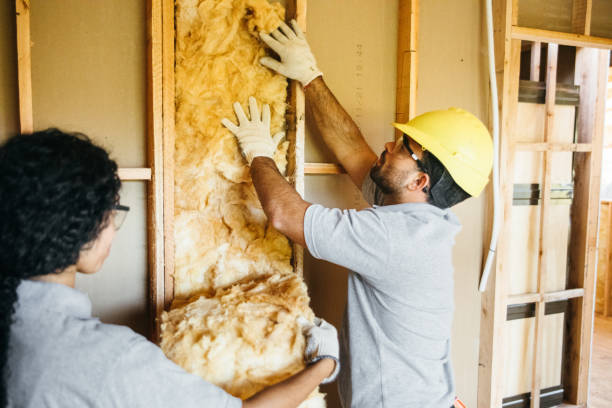 Best Radiant Barrier Insulation  in Shelbyvle, IL