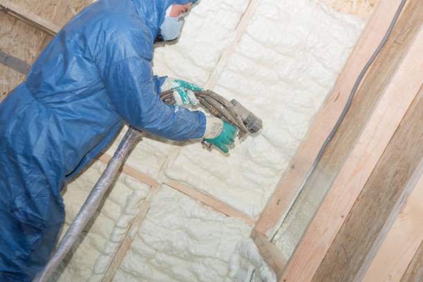 Best Garage Insulation  in Shelbyvle, IL